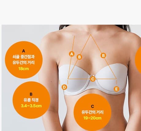 최적의 가슴비례 분석
